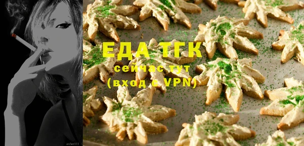 индика Нефтекумск