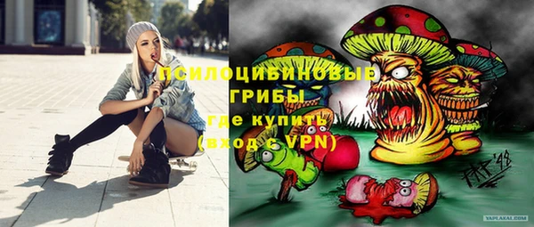 МДПВ Арсеньев