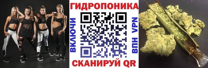 закладки  Зерноград  Бошки марихуана ГИДРОПОН 